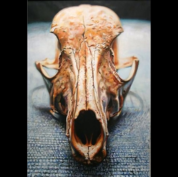 Michael 'Flyn' Elliott
'Dog Skull' 2010
Acrylic On Canvas, 24'x36'