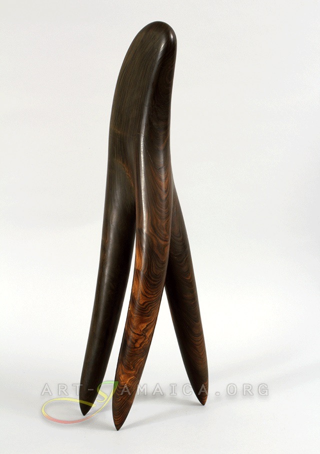 Laura Facey Cooper
'Comb' 2011
Lignum Vitae Wood, 8' x 2'